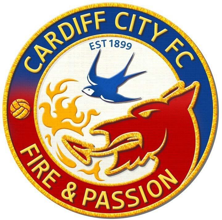Pin on Cardiff City