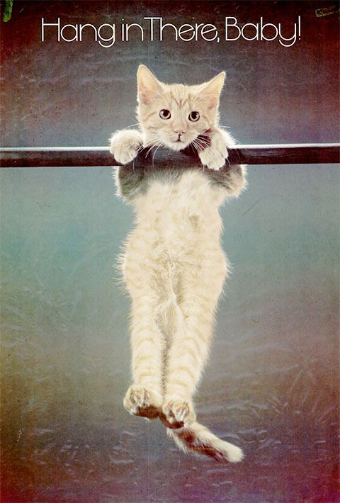 hang-in-there-baby-kitten-poster_zpsgxmrxqyp.jpg