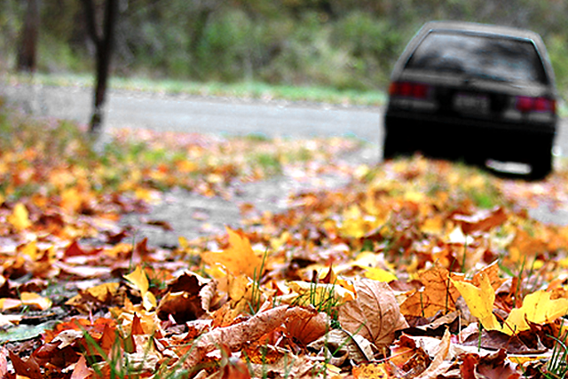 IMAGE: http://i1259.photobucket.com/albums/ii547/tmoore323/8117400852_d8fafa3e0b_z-1.png