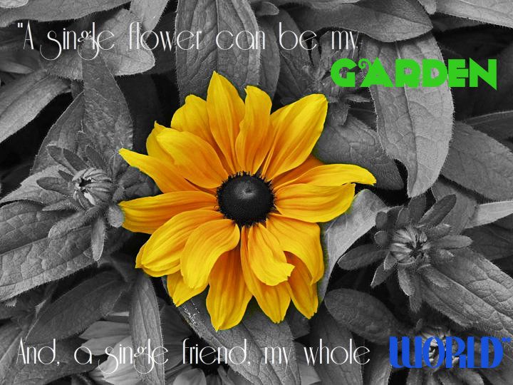 friend quote photo: Flower quote YELLOWFLOWER.jpg