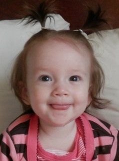 Pictures from the Goat Expo - Goats