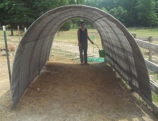 A story in pictures...our milk/kidding barn - Goats