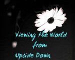 Viewing the World from Upside Down