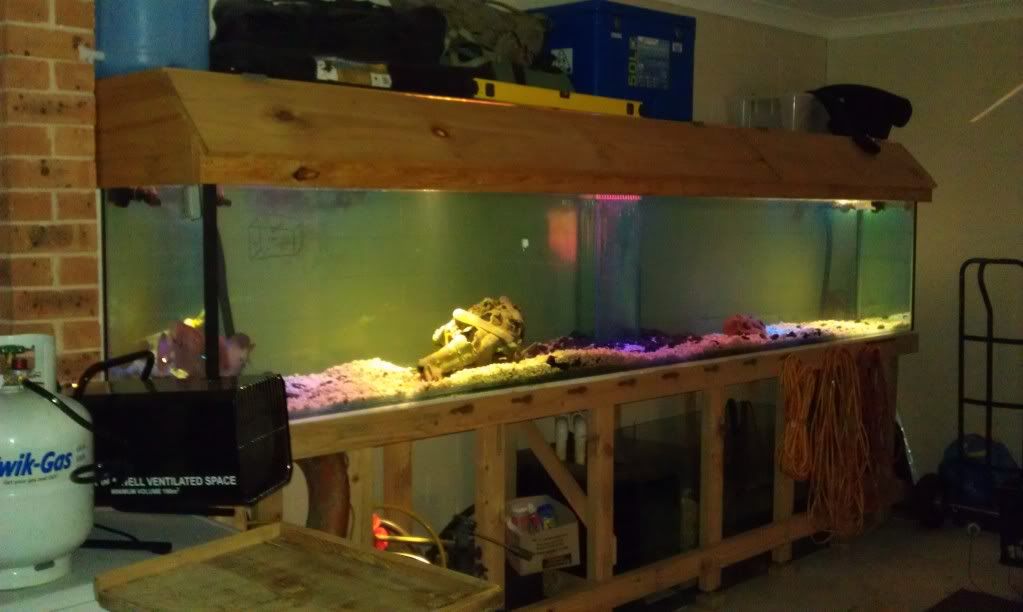 12x2x2 FOOT FISH TANK sydney
