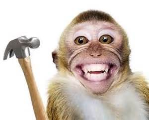 monkeyhammer_zps5c492a88.jpg