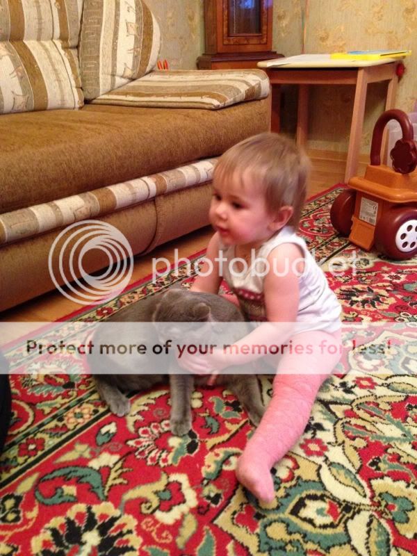 Photobucket Pictures, Images and Photos