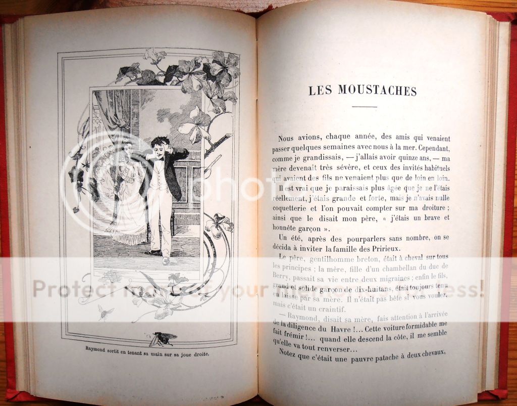 1900 Souvenirs de MA Jeunesse MME J Thenard Illust F Raffin Alcide