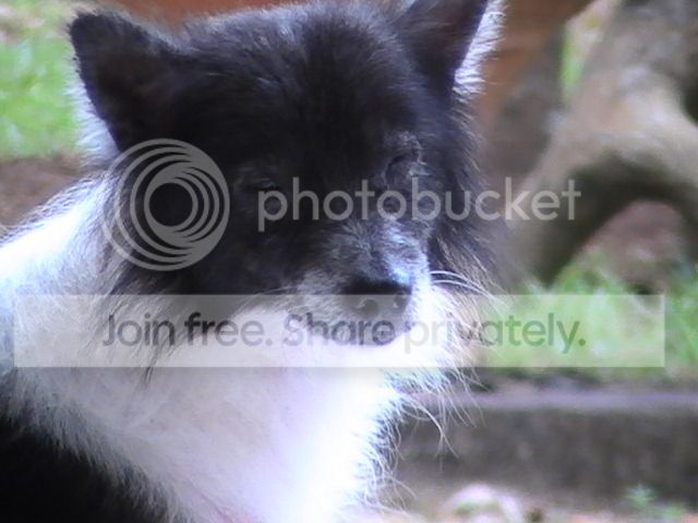 PIC_0964.jpg