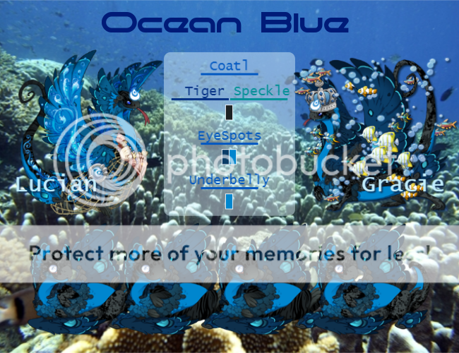 ocean%20blue%202_zpsg203wlbf.png